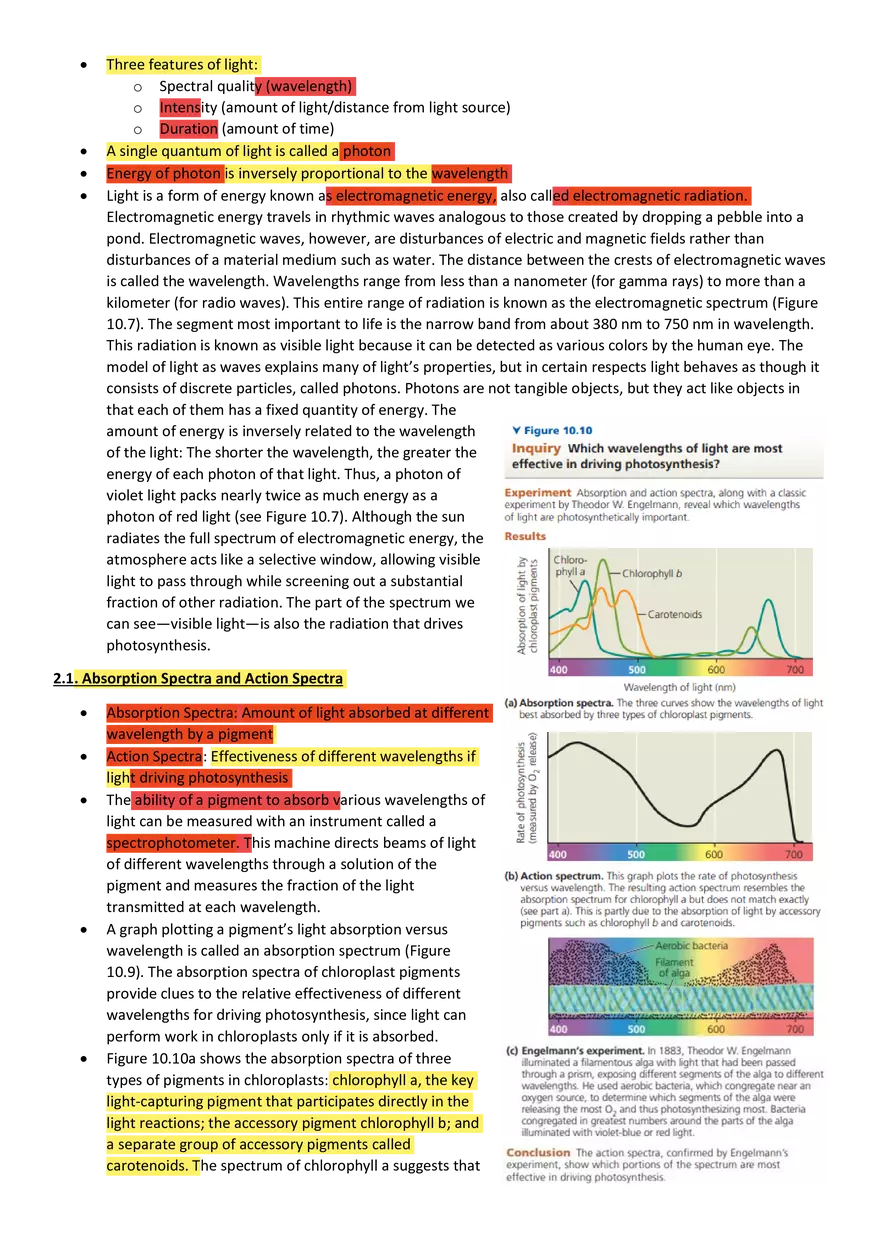 Topics 23: Photosynthesis - Page 12