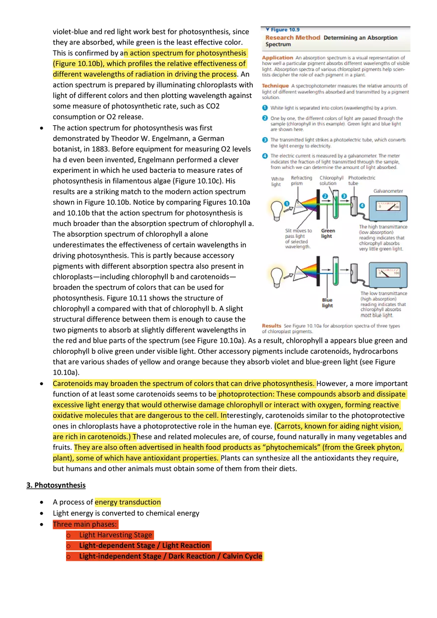 Topics 23: Photosynthesis - Page 13