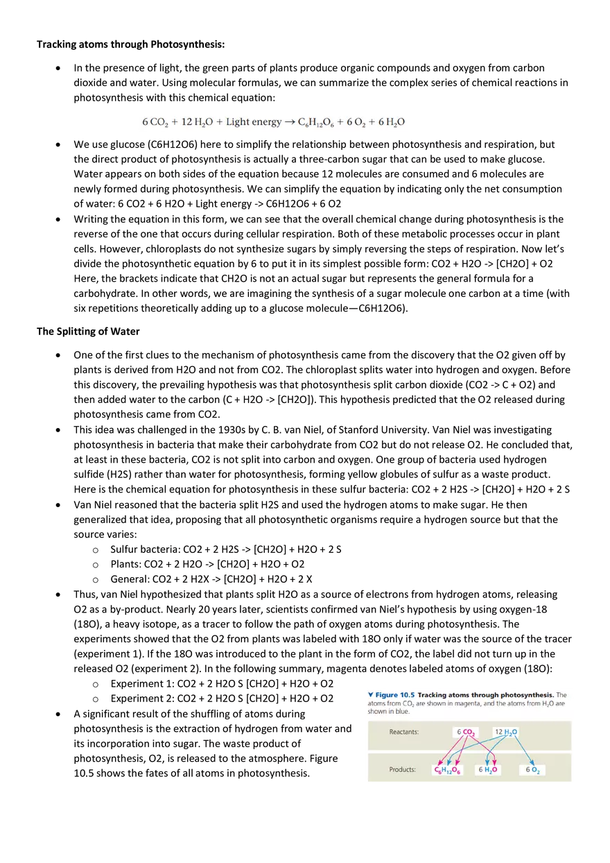 Topics 23: Photosynthesis - Page 14