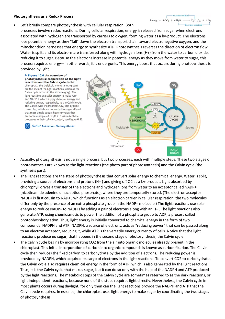 Topics 23: Photosynthesis - Page 15