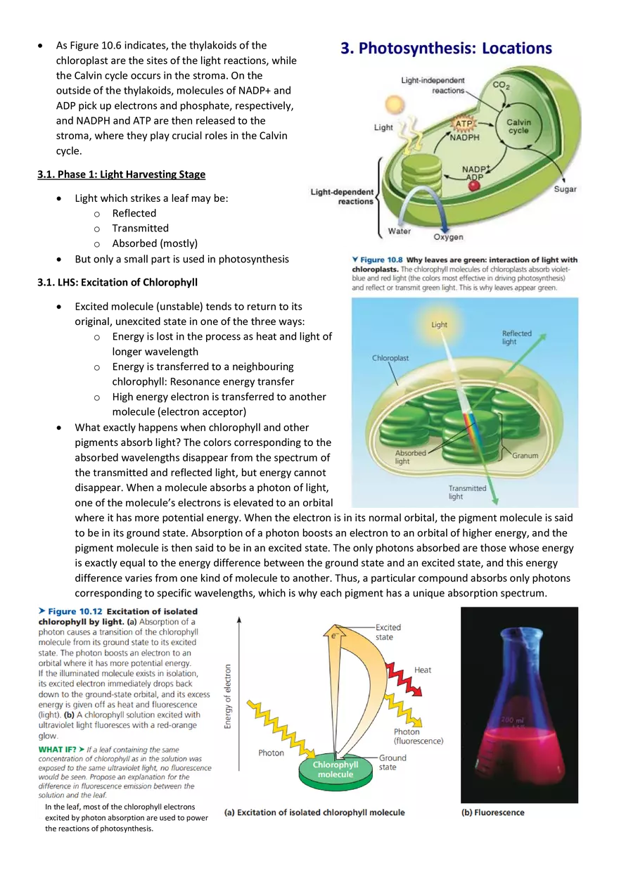 Topics 23: Photosynthesis - Page 16