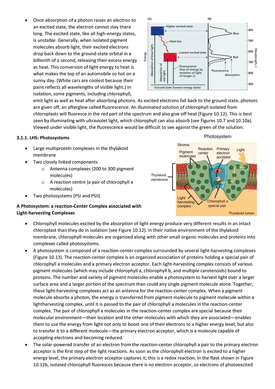 Topics 23: Photosynthesis - Page 17