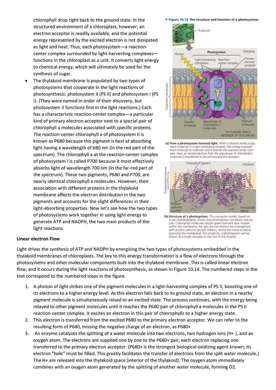 Topics 23: Photosynthesis - Page 18