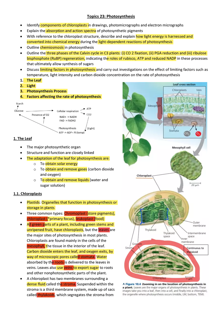 Topics 23: Photosynthesis - Page 1
