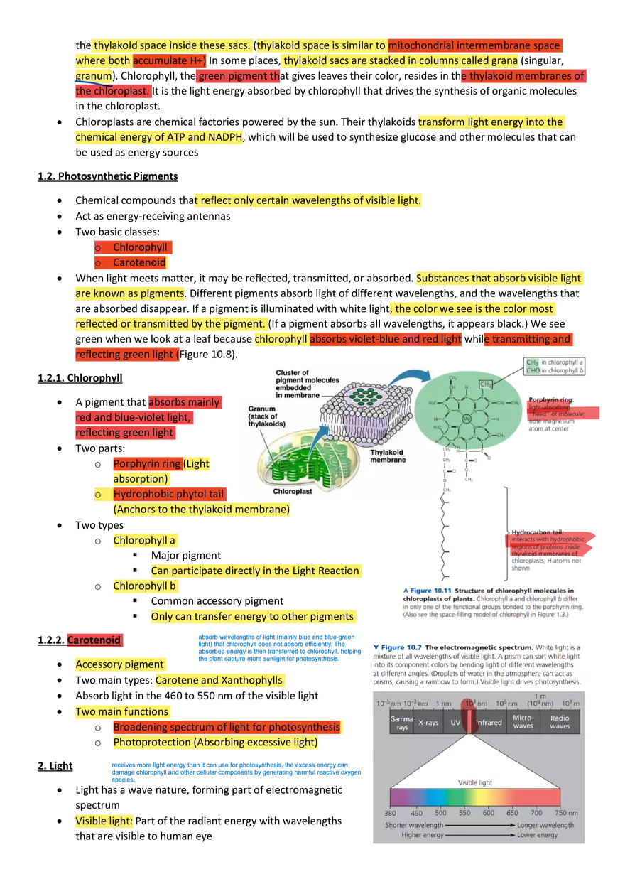 Topics 23: Photosynthesis - Page 2