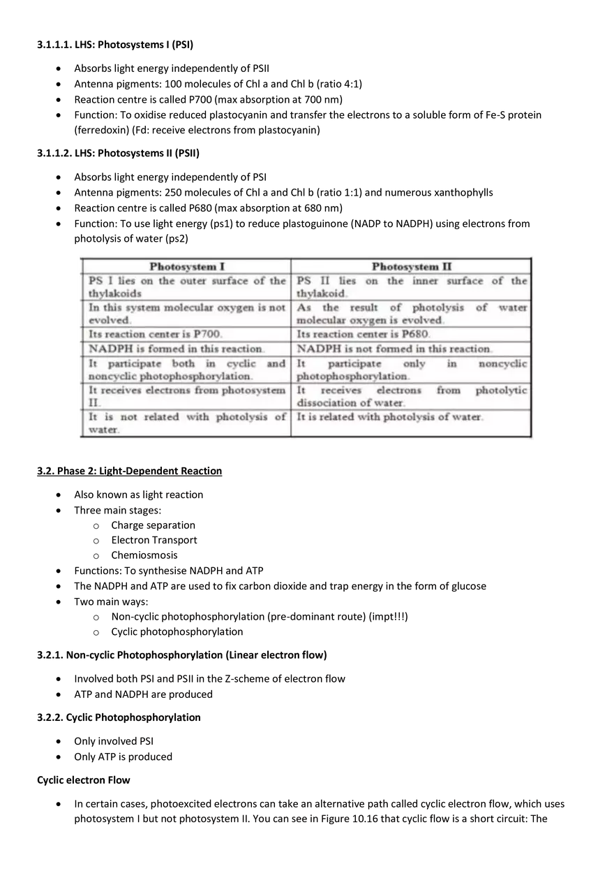 Topics 23: Photosynthesis - Page 3