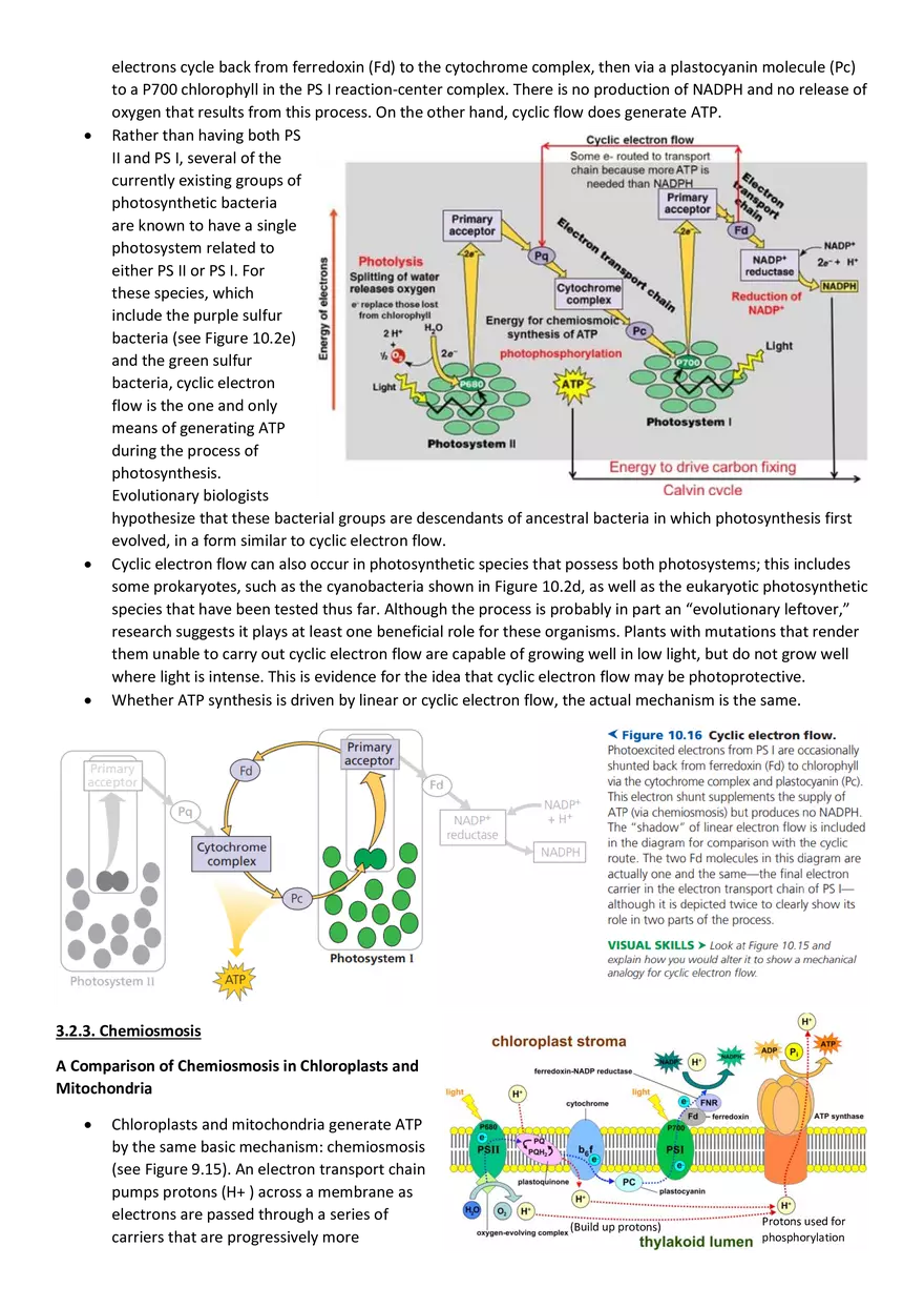 Topics 23: Photosynthesis - Page 4