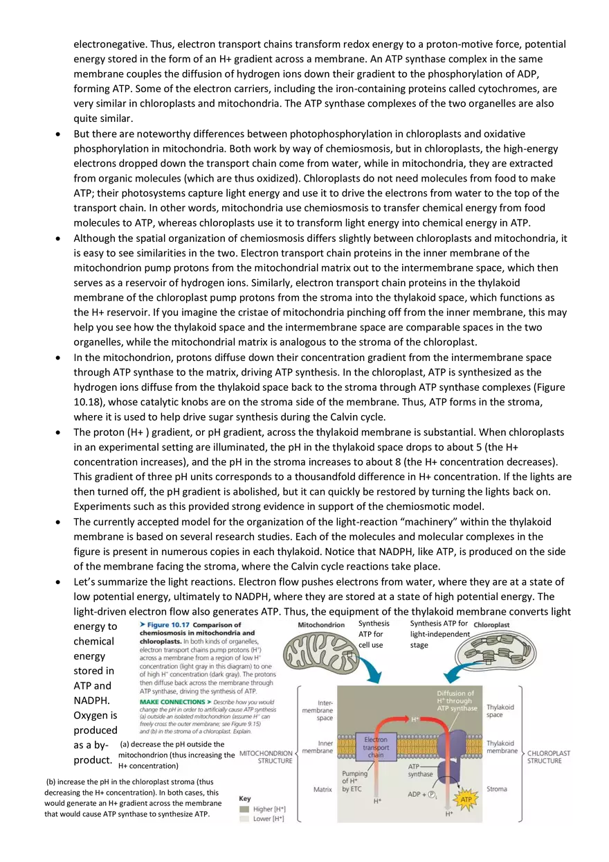 Topics 23: Photosynthesis - Page 5