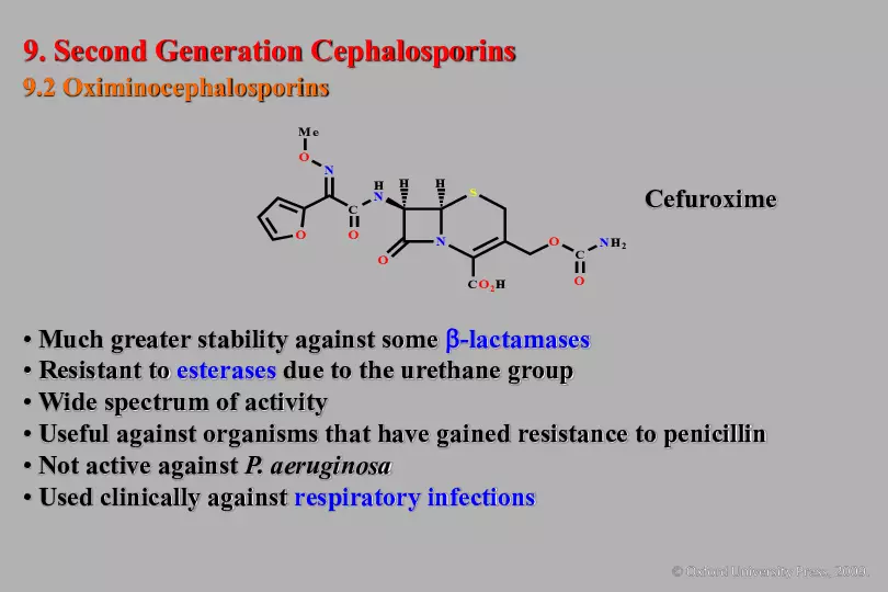 An Introduction to Medicinal Chemistry - Page 10