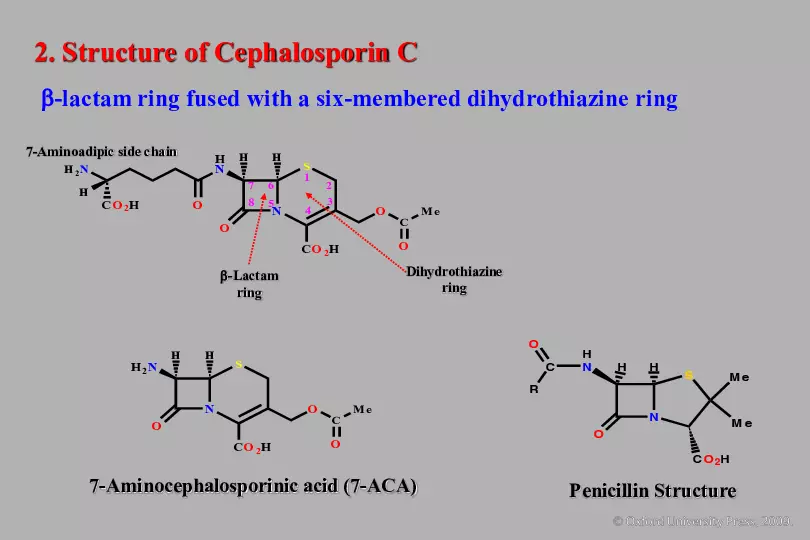 An Introduction to Medicinal Chemistry - Page 13