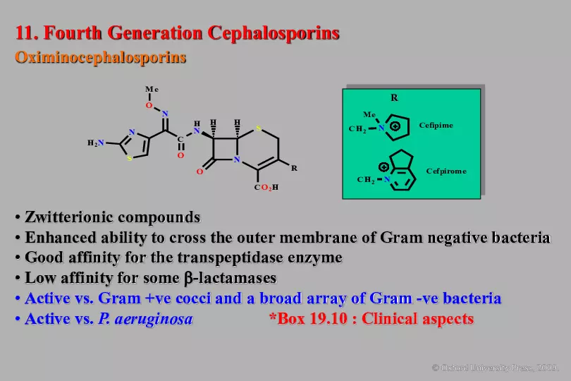 An Introduction to Medicinal Chemistry - Page 14