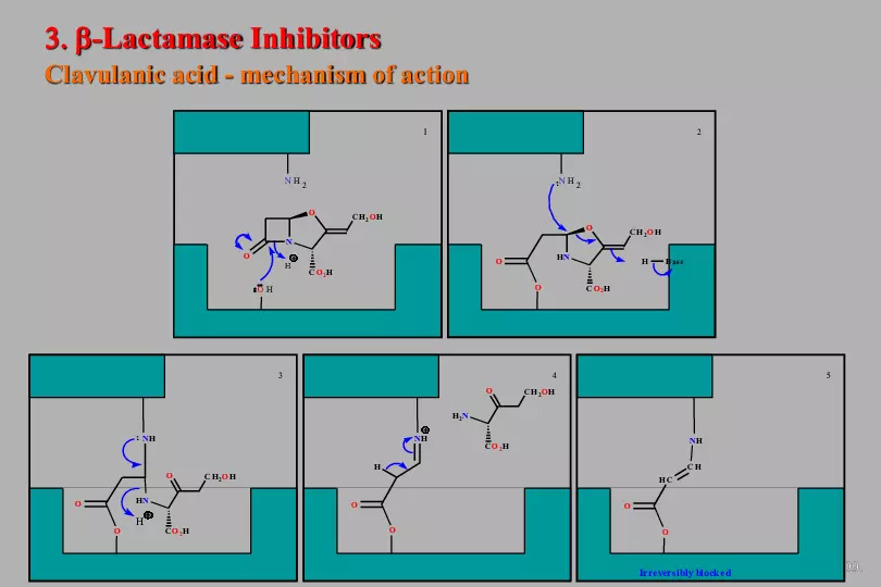 An Introduction to Medicinal Chemistry - Page 21