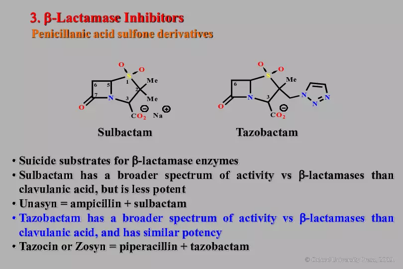 An Introduction to Medicinal Chemistry - Page 22