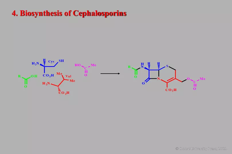 An Introduction to Medicinal Chemistry - Page 24