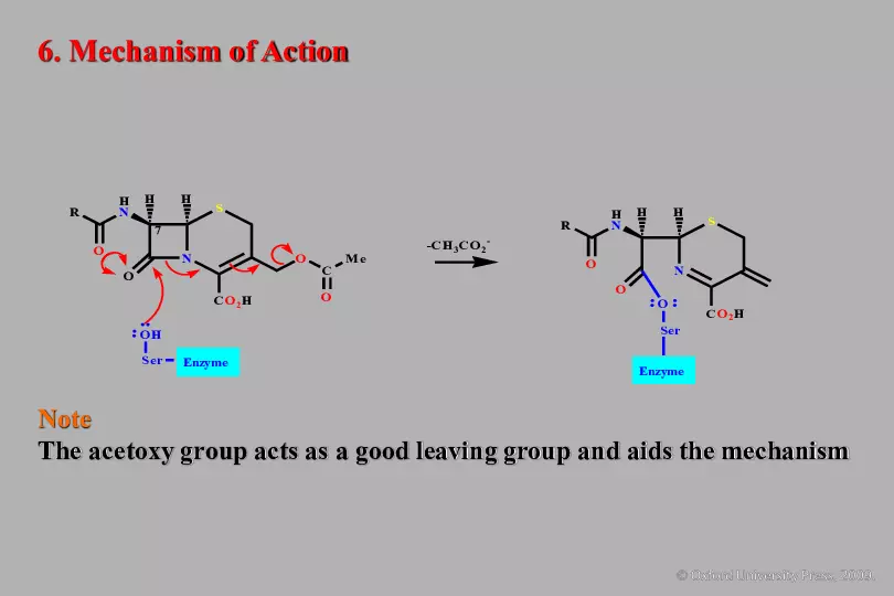 An Introduction to Medicinal Chemistry - Page 26