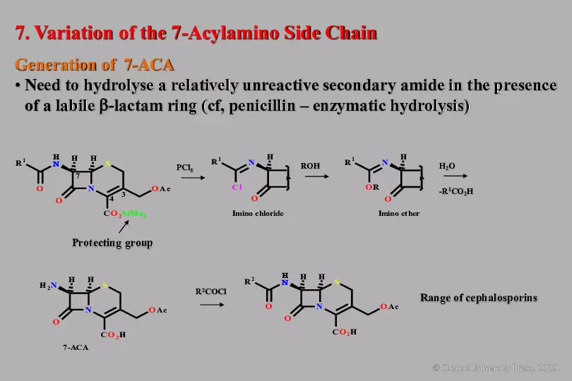 An Introduction to Medicinal Chemistry - Page 28