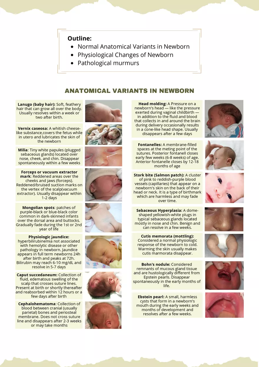 Anatomical Variants in Newborn Physiological Changes - Page 1