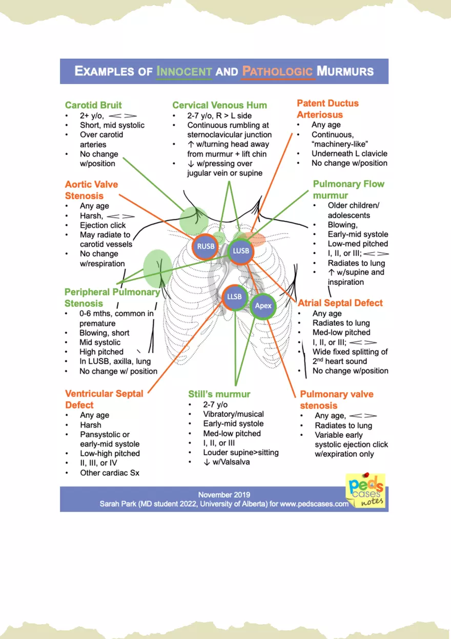 Anatomical Variants in Newborn Physiological Changes - Page 3