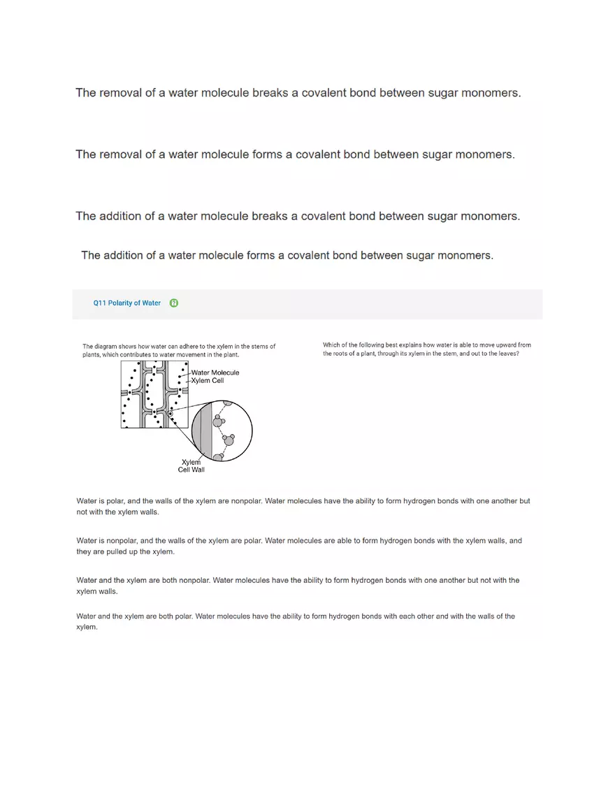 AP BIO Unit 1 Exam - Page 6