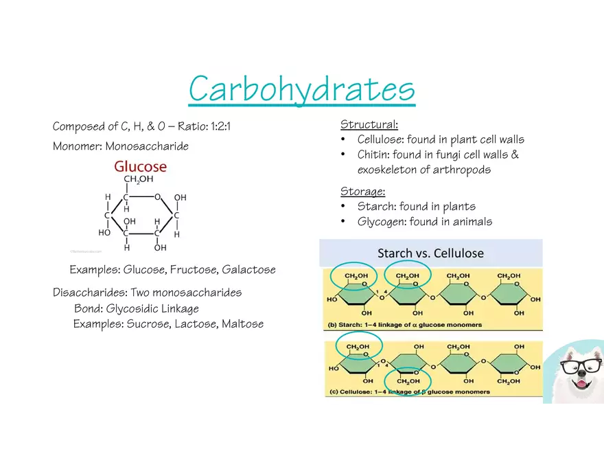 Marco Learning AP Biology Unit 1 - Page 8