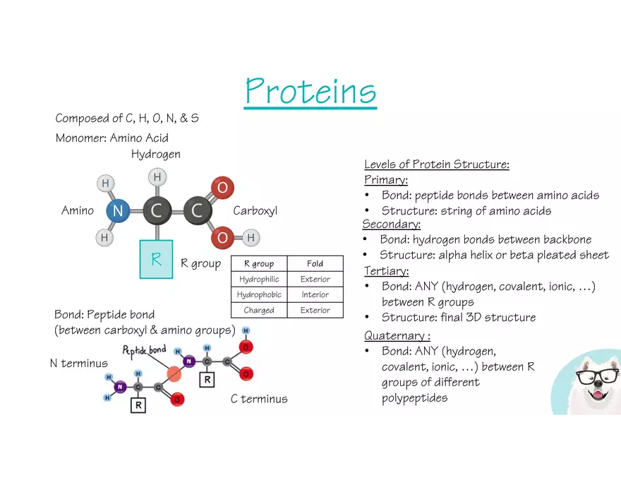Marco Learning AP Biology Unit 1 - Page 9