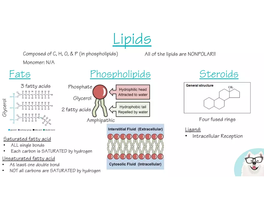 Marco Learning AP Biology Unit 1 - Page 11