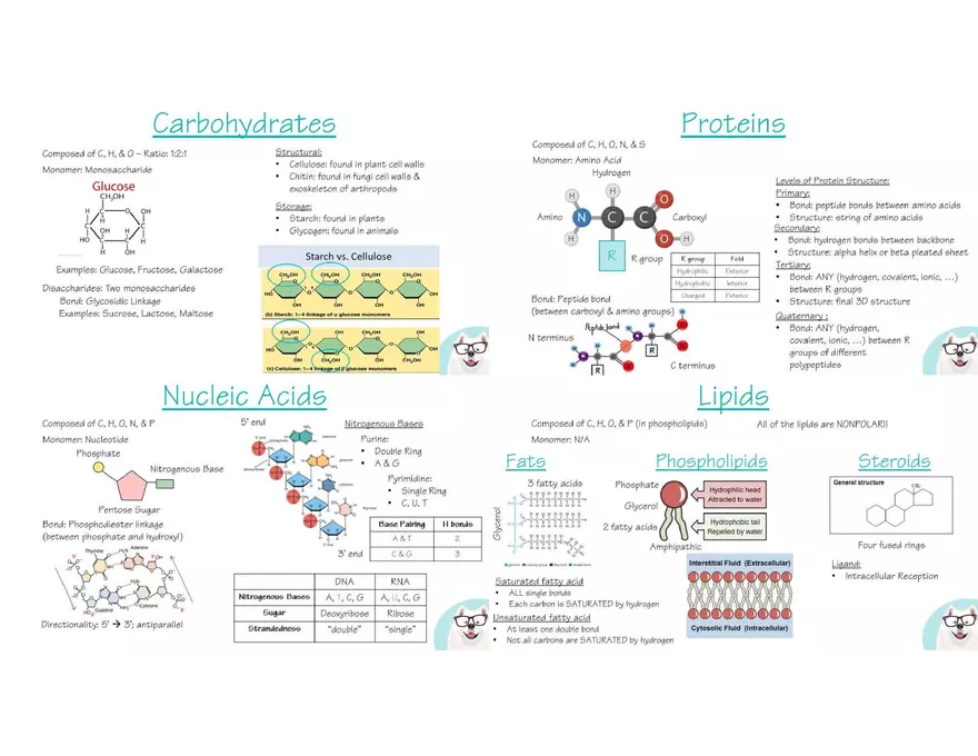 Marco Learning AP Biology Unit 1 - Page 12