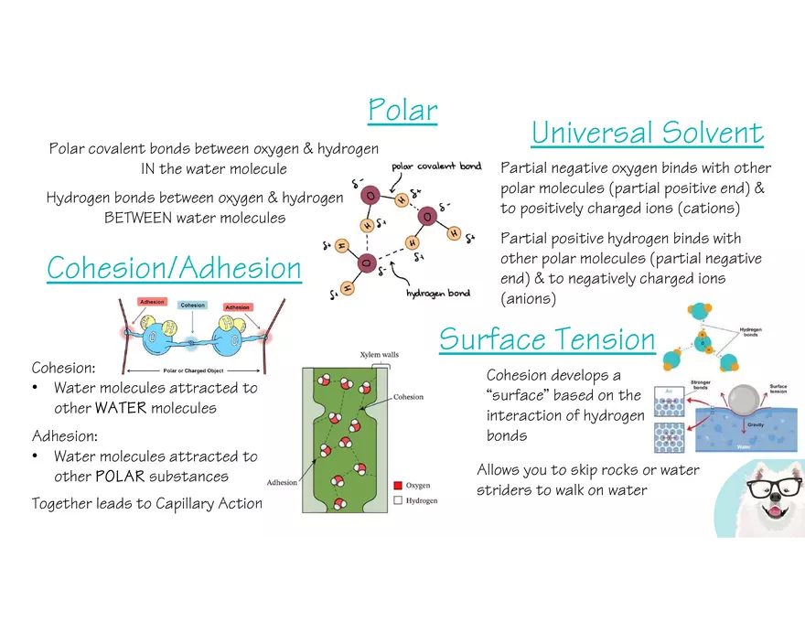 Marco Learning AP Biology Unit 1 - Page 13