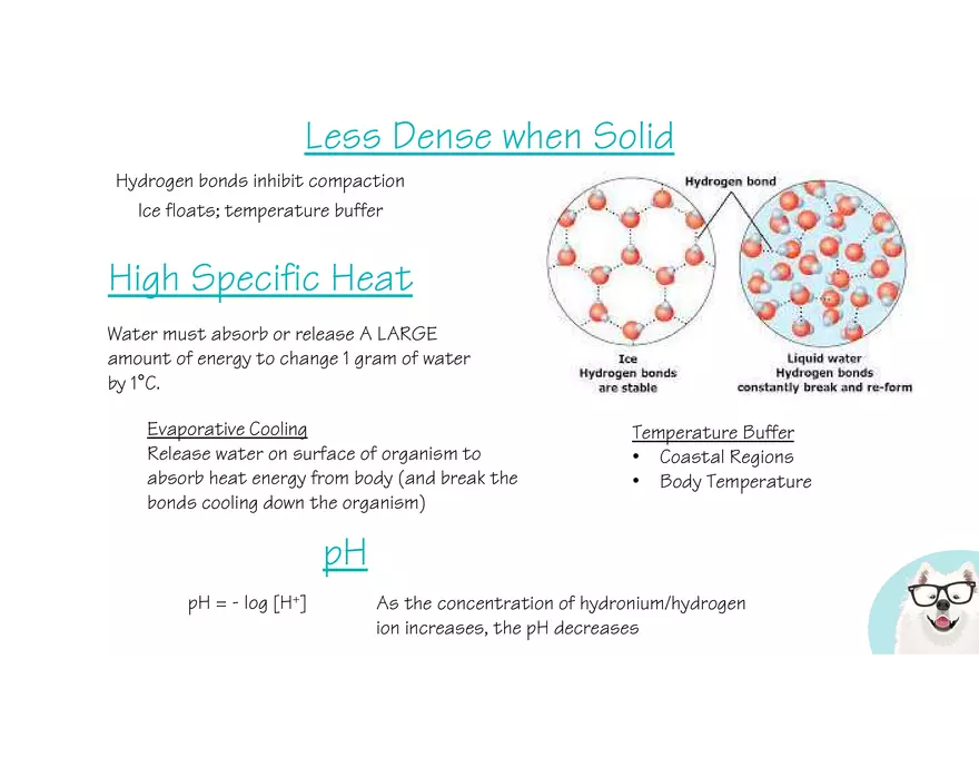 Marco Learning AP Biology Unit 1 - Page 14