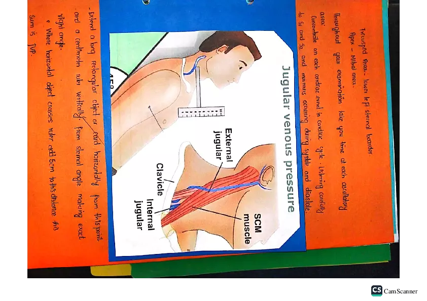 Health Assessment Portfolio - Page 99