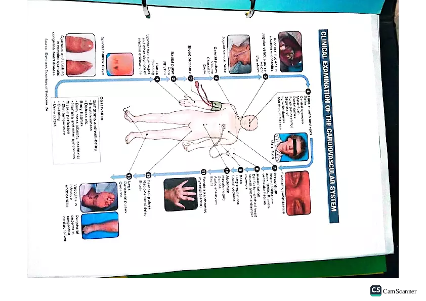 Health Assessment Portfolio - Page 102