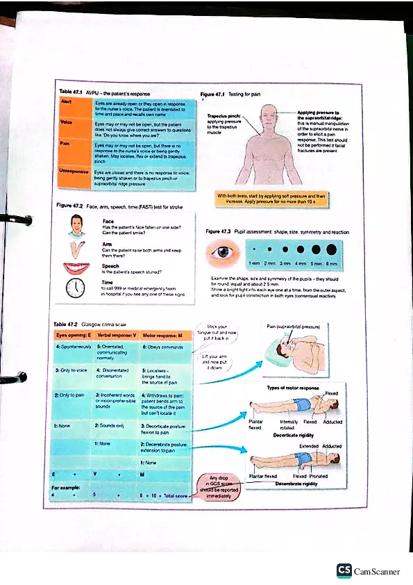 Health Assessment Portfolio - Page 104