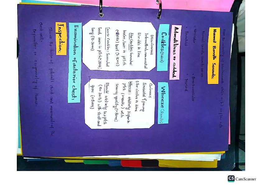 Health Assessment Portfolio - Page 30