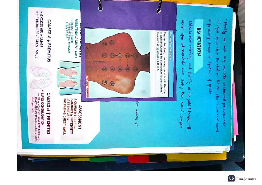 Health Assessment Portfolio - Page 32