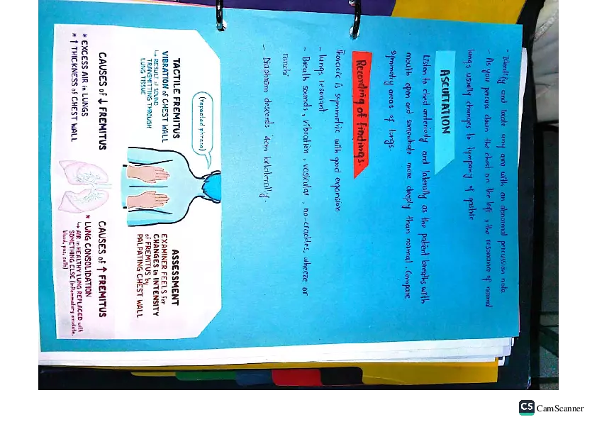 Health Assessment Portfolio - Page 33