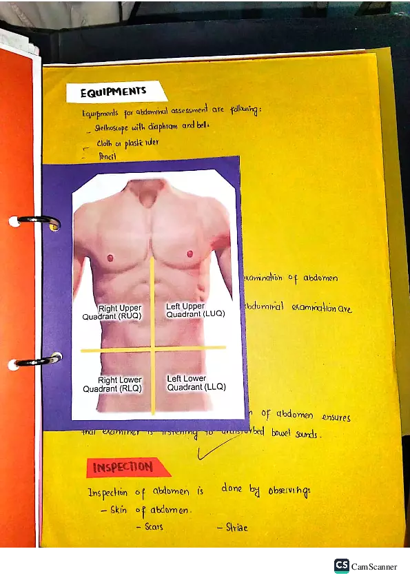 Health Assessment Portfolio - Page 4
