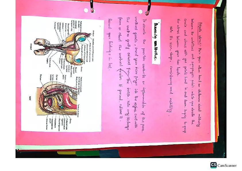 Health Assessment Portfolio - Page 67
