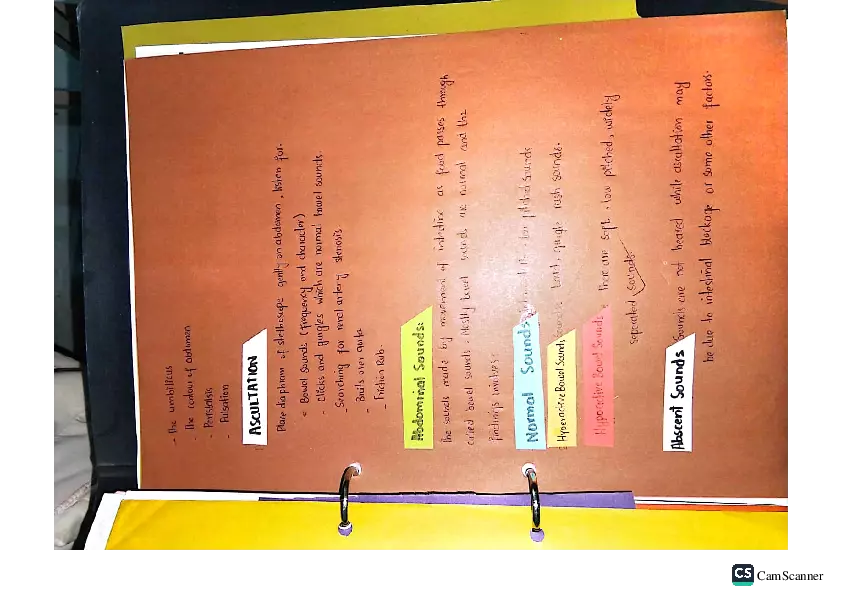 Health Assessment Portfolio - Page 6