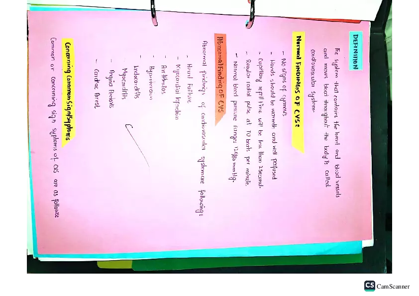 Health Assessment Portfolio - Page 94