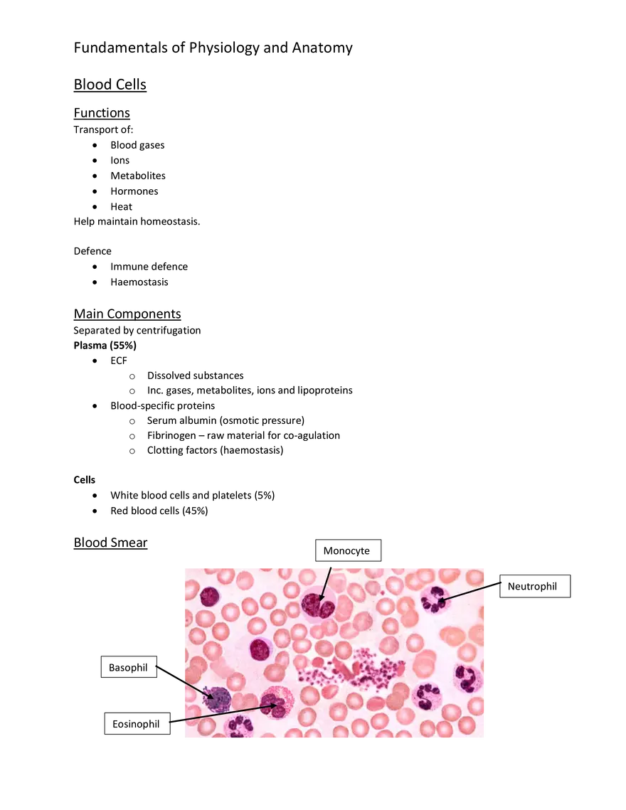 Blood Cells - Functions - Page 1