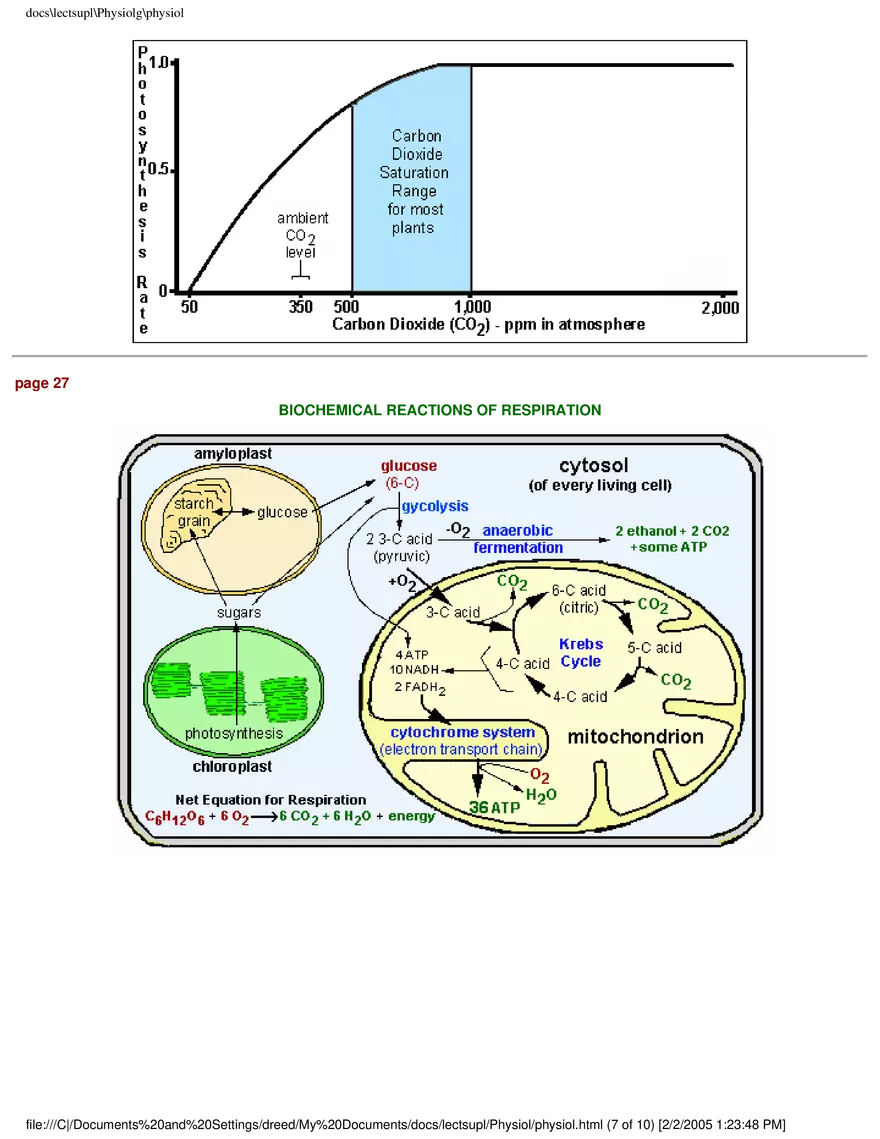 Photosynthesis - Chemical Equation for Photosynthesis - Page 7