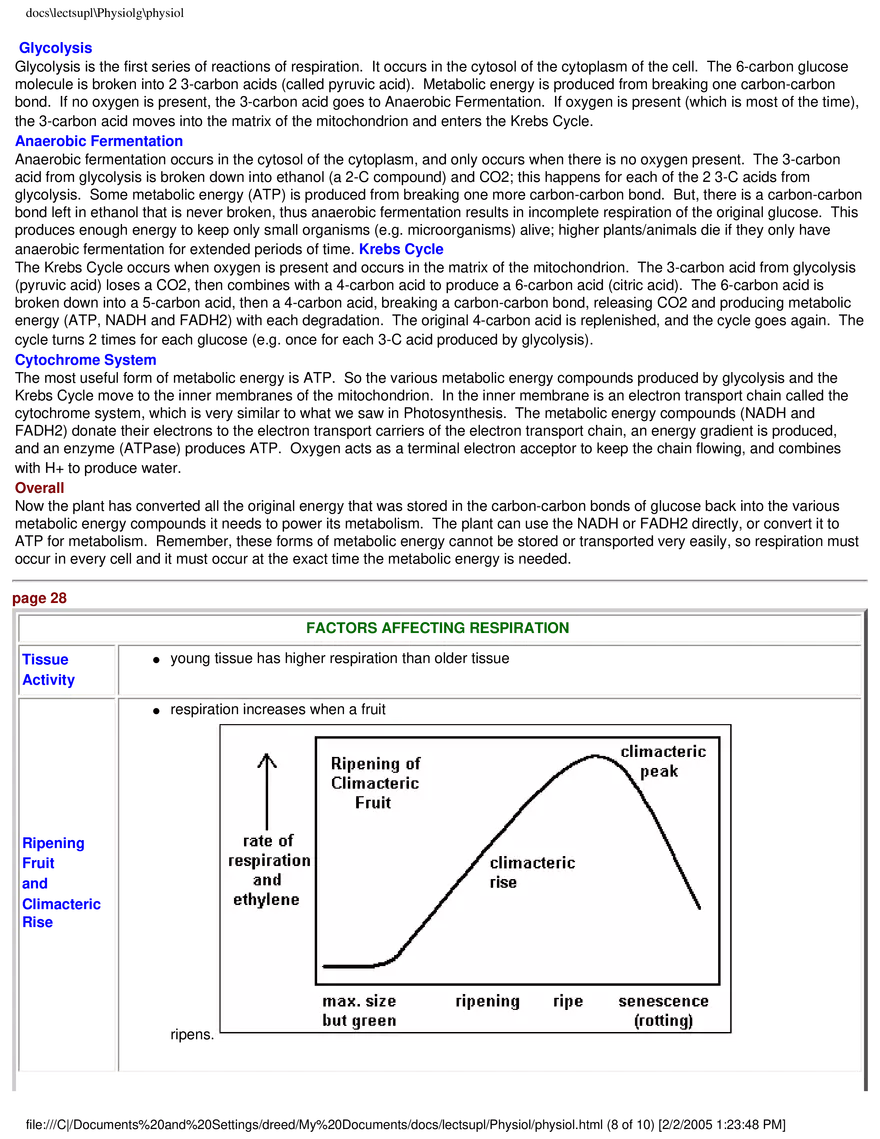 Photosynthesis - Chemical Equation for Photosynthesis - Page 8