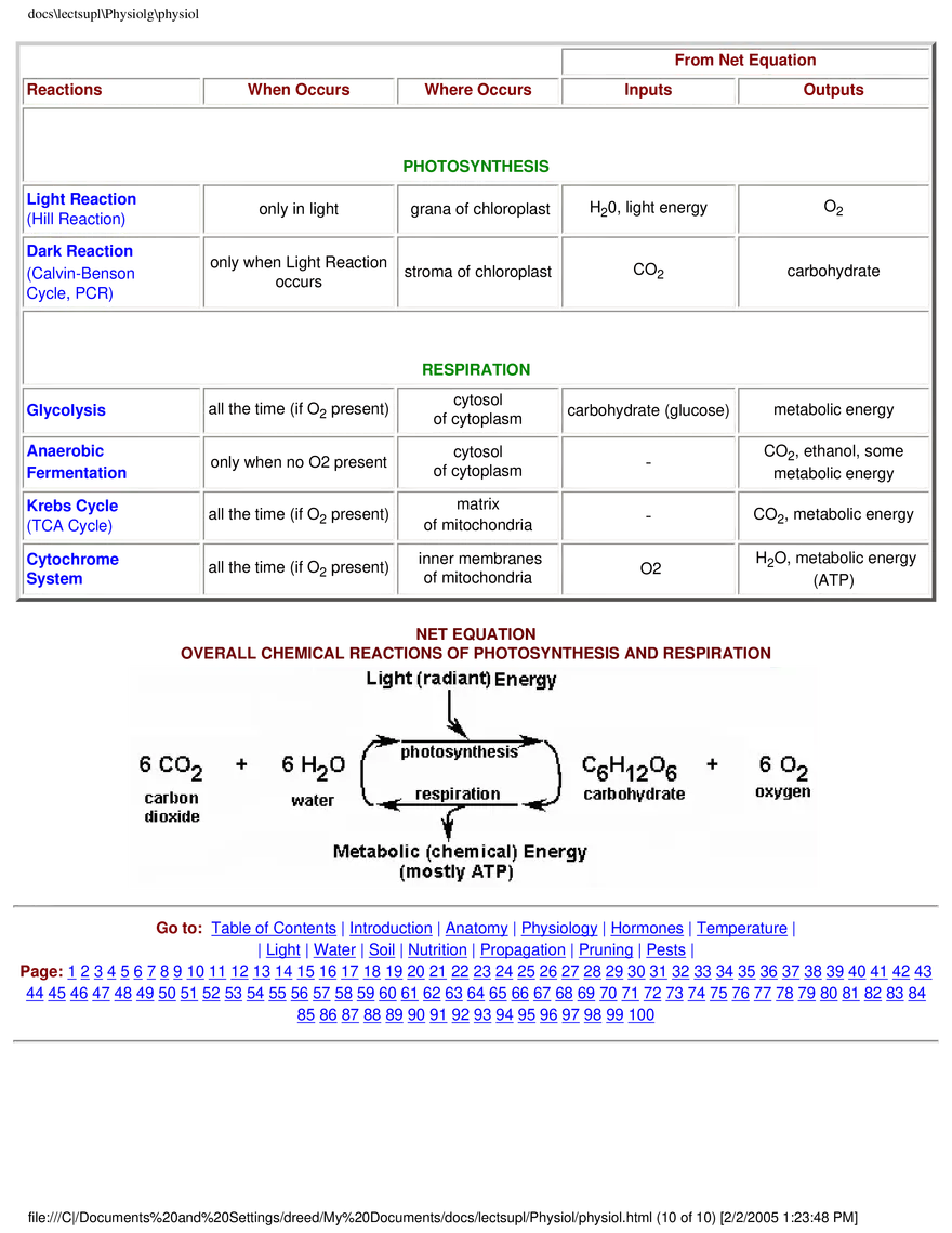 Photosynthesis - Chemical Equation for Photosynthesis - Page 10