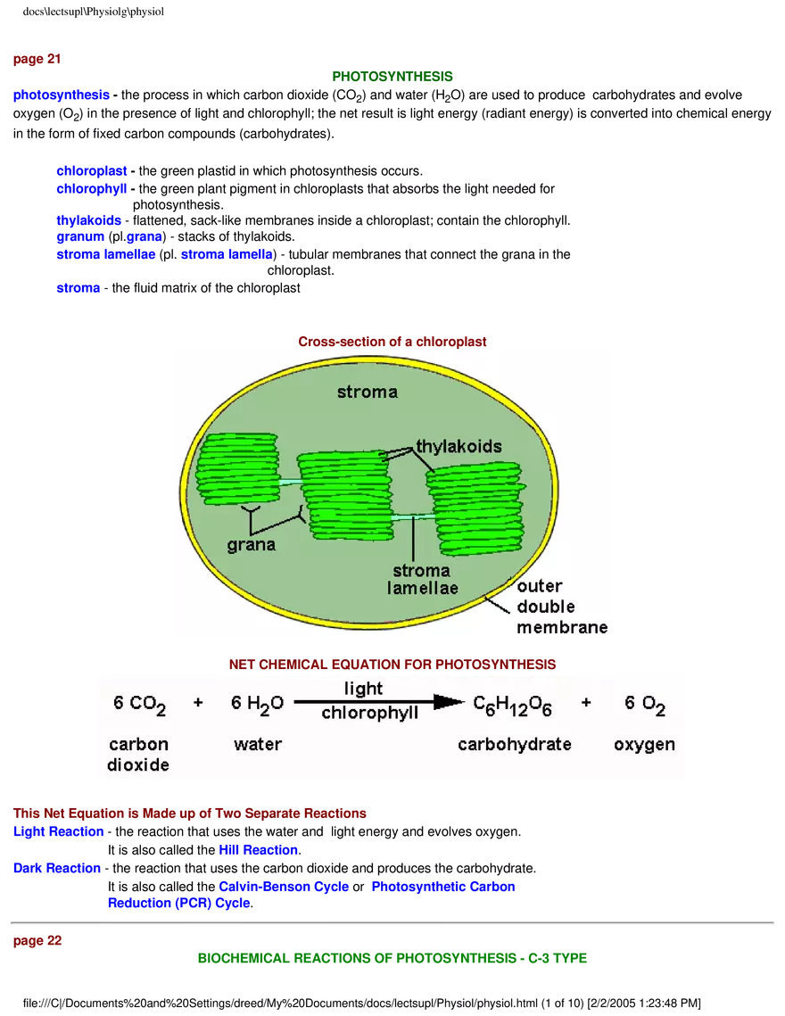 Photosynthesis - Chemical Equation for Photosynthesis - Page 1