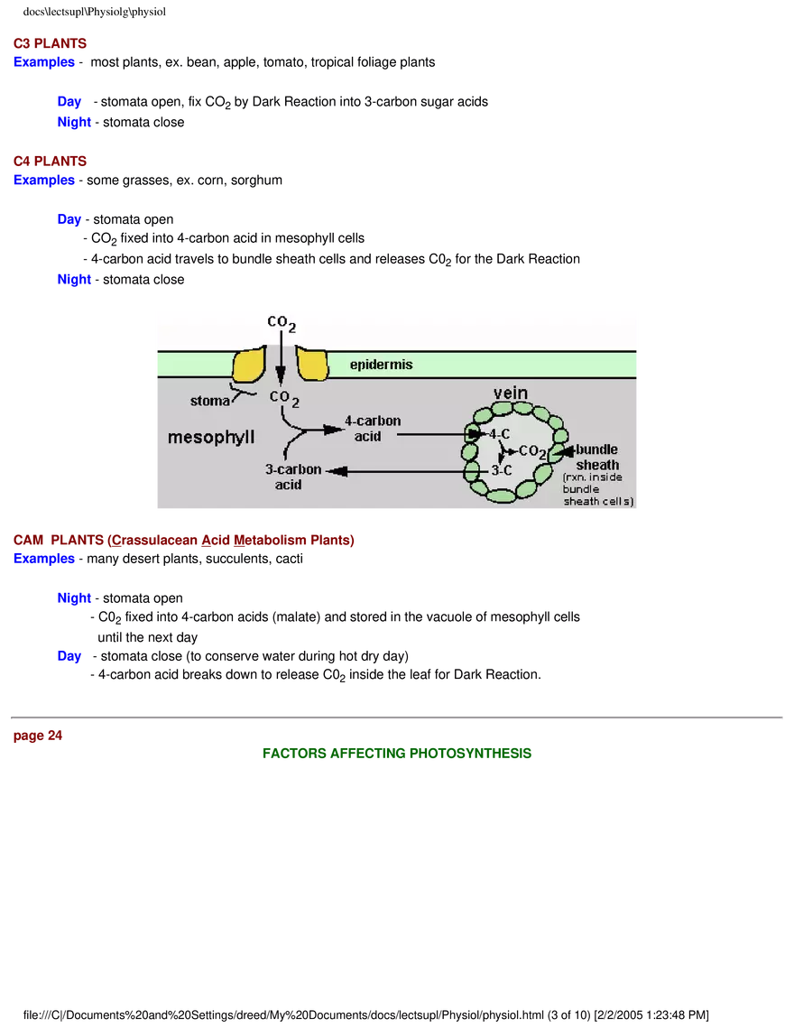Photosynthesis - Chemical Equation for Photosynthesis - Page 3