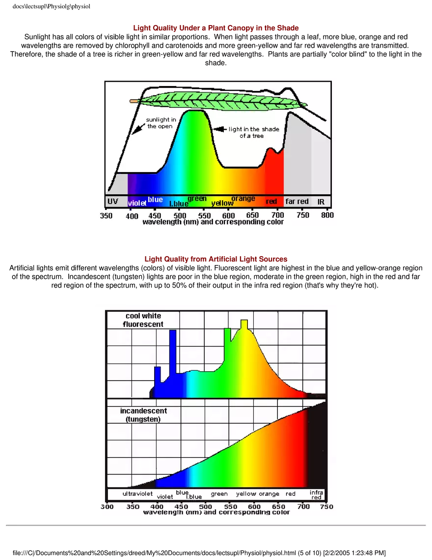 Photosynthesis - Chemical Equation for Photosynthesis - Page 5