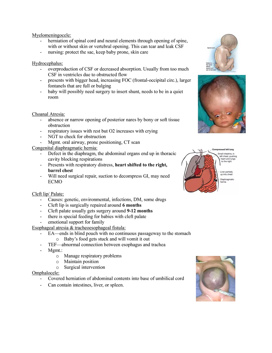 OB Exam 5 Study Guide - Page 14