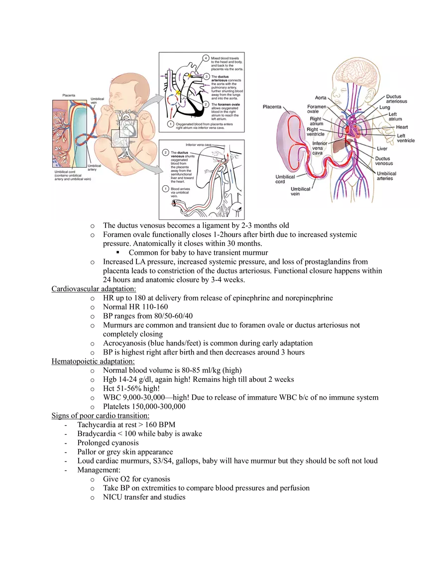 OB Exam 5 Study Guide - Page 16