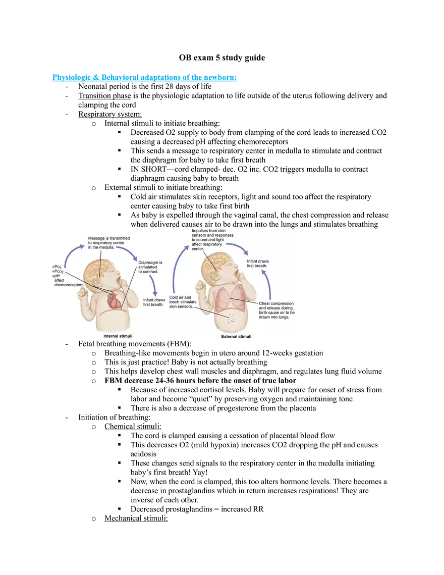 OB Exam 5 Study Guide - Page 1