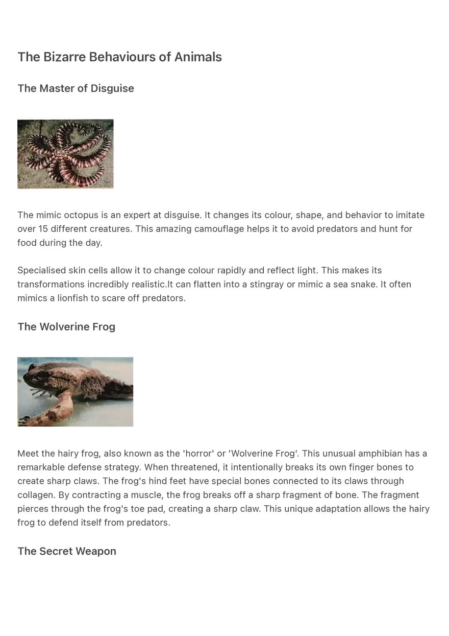 The Bizarre Behaviours of Animals-compressed - Page 1
